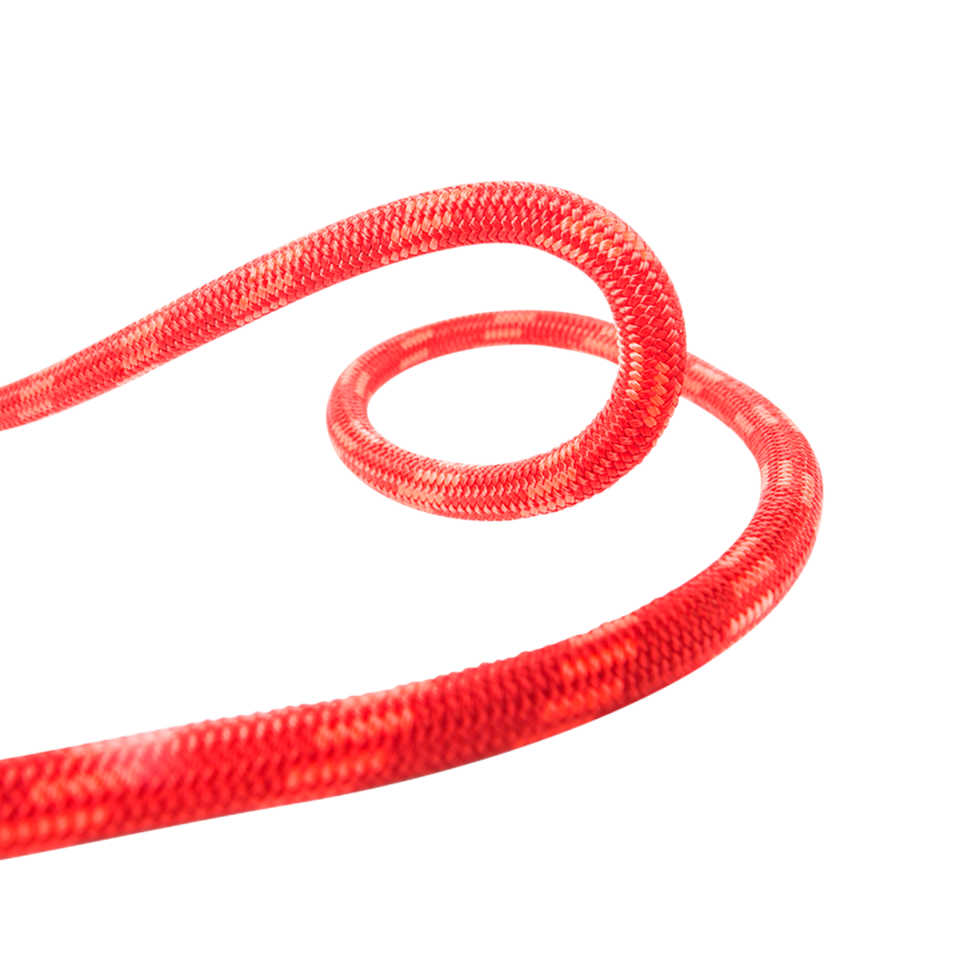 BC096W.O_WALL CRUISER 9,6 ORANGE_4_LD