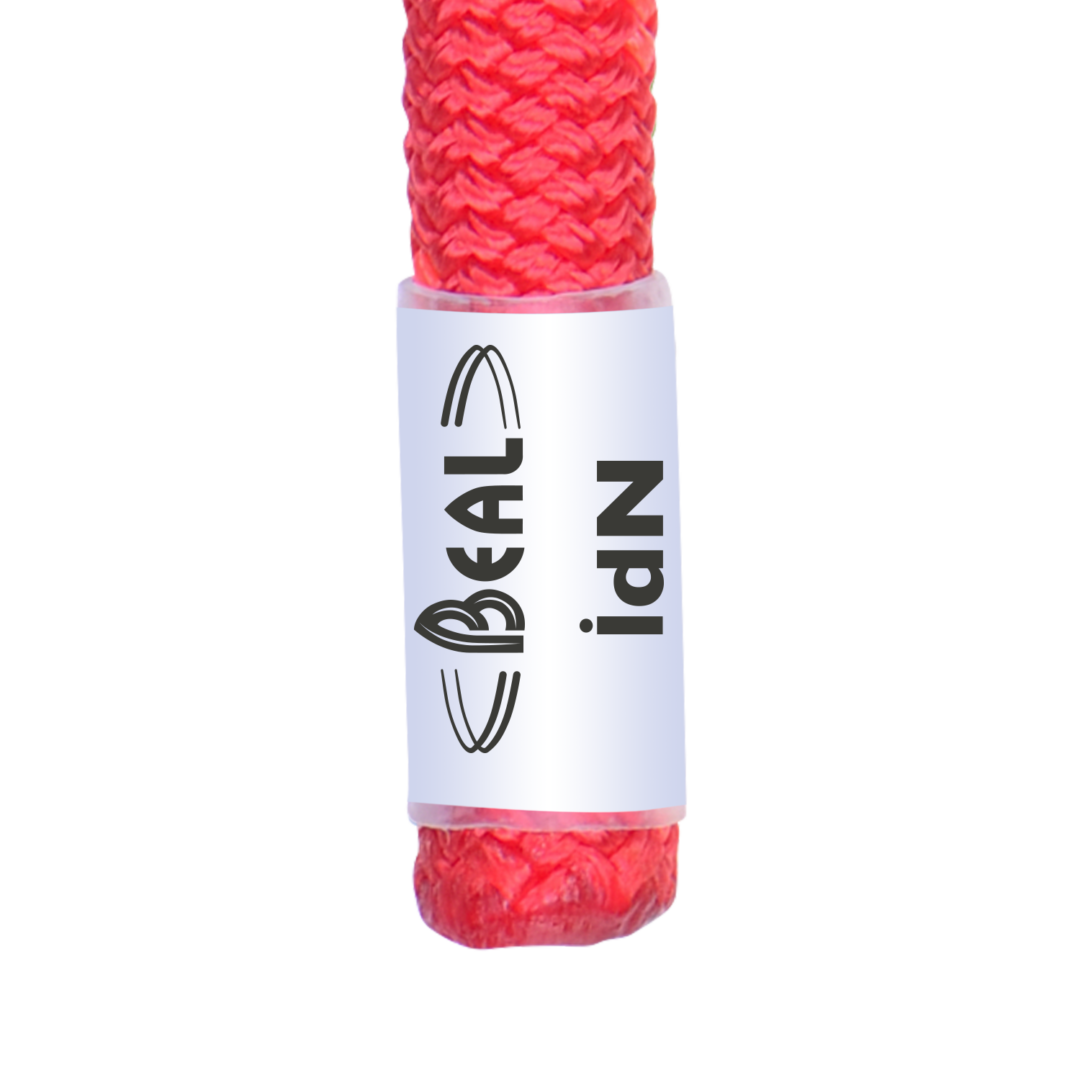 BC096W.O_WALL CRUISER 9,6 ORANGE_5_LD