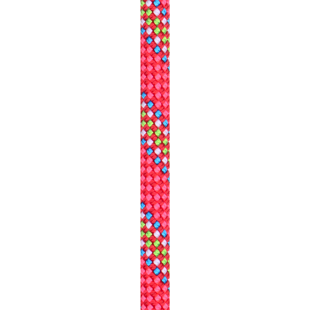 BC100T.GD.O_TIGER 10 GOLDEN DRY ORANGE_3_LD