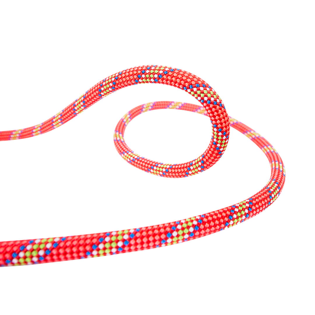 BC100T.GD.O_TIGER 10 GOLDEN DRY ORANGE_4_LD