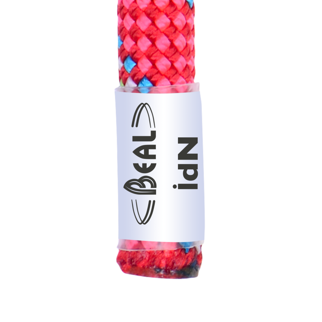 BC100T.GD.O_TIGER 10 GOLDEN DRY ORANGE_5_LD