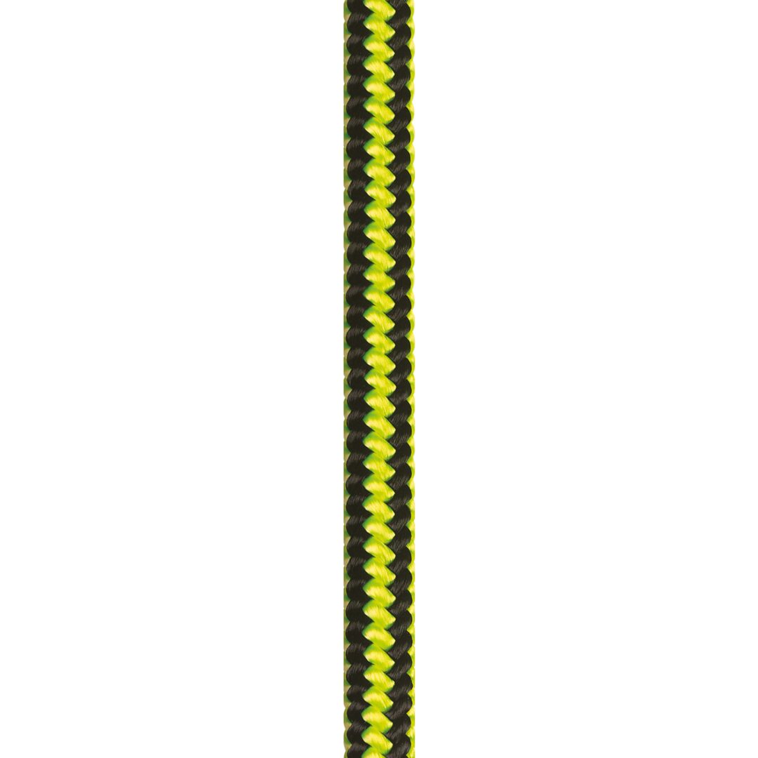 BCSE12_GINKGO 12_3_LD