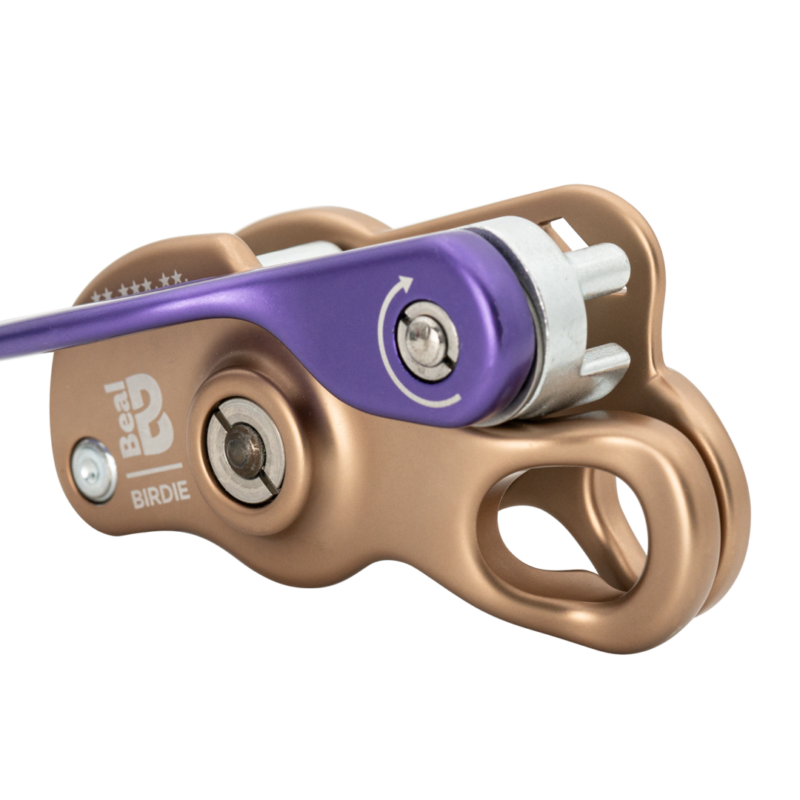 ASSUREUR BIRDIE MATT – BEAL